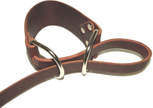 Leash